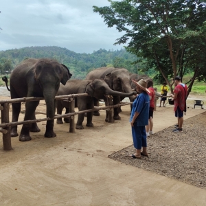 Pha Lat Hidden Temple + Doi Suthep Temple + Elephant Care and No Riding + Long Neck Village.