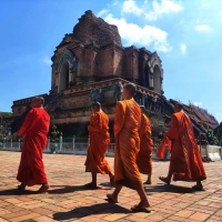 Private Half day Doi Suthep Temple + City Temples.