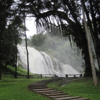 2 Days 1 night Doi Inthanont Highest Peak + Soft trek to waterfall + Elephant riding + Bamboo rafting.