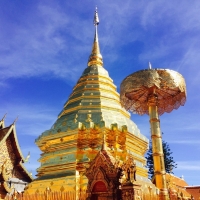 Private Doi Suthep Temple + Baan Jang Nak, the famous wood carving gallery of elephants +  Sankampang Hot Spring