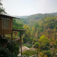 3 Days 2 Nights Elephant Program and Tree House Home Stay.